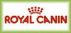 Jesteśmy członkami Klubu Hodowców Royal-Canin